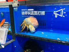 -盒马鲜生(双清路店)