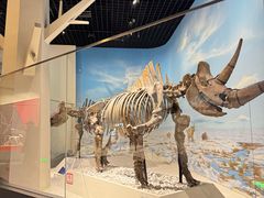 -国家自然博物馆