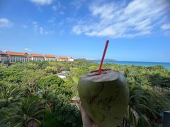 -三亚海棠湾万丽度假酒店