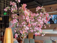 -九井澤精致料理(金茂店)