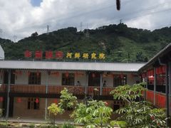 -年辉渔村·非遗传承餐厅(新丰江店)