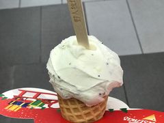 -野人先生现做冰淇淋(西安赛格店)