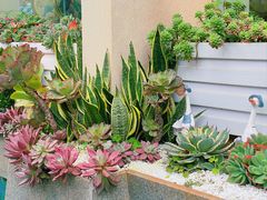 -快乐海鲜酒楼(滇池路店)