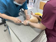 -安安宠医安欣宠物医院