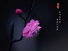-尚贤河湿地