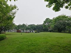 -顺峰山公园