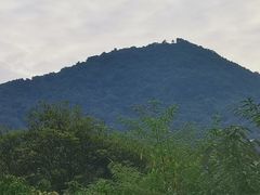 -黄埔油麻山森林公园