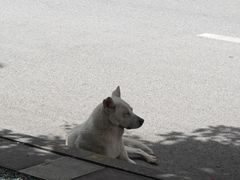 -龙树园麻辣米线