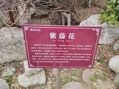 -武汉紫薇都市田园