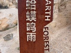 -元谋土林景区(物茂土林)
