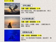 -日照灯塔风景区