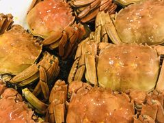 清蒸大闸蟹-宜宾海鲜酒家·三十年老字号