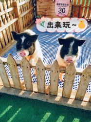 -萌宠亲子动物乐园(槐房万达店)