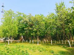 -永定河休闲森林公园