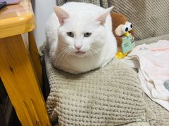 -联合动物医院(光谷诊疗中心)