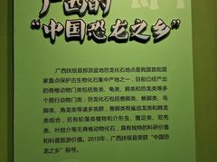 -浙江自然博物院(杭州馆)