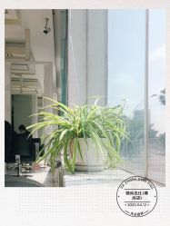 -锦尚名仕Hair Salon