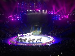 -珠海横琴长隆《卡卡虎奇遇记》