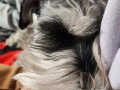 -FAELING PETS美天灵宠物(富力广场店)