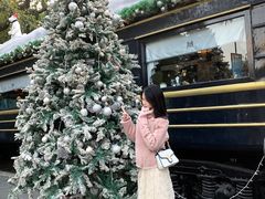 -火车头法国西餐厅