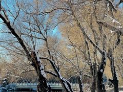 -长春市南湖公园