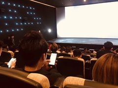 -深影国际影城(学院南路店CGS中国巨幕店)
