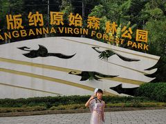 -西双版纳原始森林公园