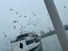 -海驴岛(荣成市)