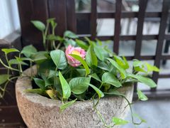 -西院1号(龙井店)