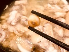 -烹然四季椰子鸡火锅(团结湖总店)