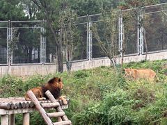 -石家庄市动物园