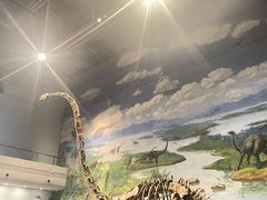 -自贡恐龙博物馆