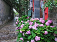 -老门东历史文化街区