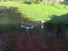 -普陀山风景名胜区-法雨禅寺
