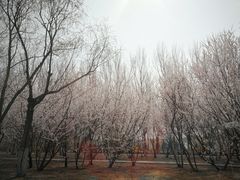 -吉林大学(前卫南区)