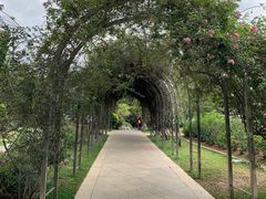 -人民公园(罗湖区)