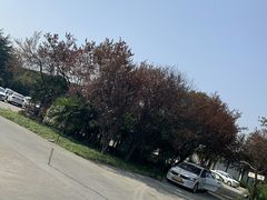 -胜华驾校·小猫学车(银都店)