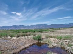 -野鸭湖国家湿地公园