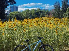 -长白岛森林公园