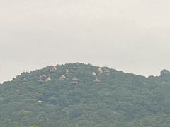 -三亚亚龙湾人间天堂鸟巢度假村