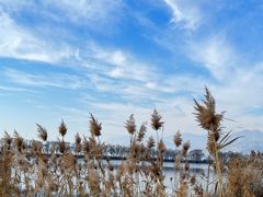 -野鸭湖国家湿地公园