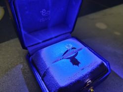 -钻石小鸟钻戒婚戒定制(石路店)