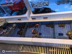 -金苑海鲜酒家(来魅力店)