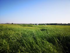 -赛汗塔拉草原公园