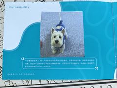 -美联众合动物医院·24h转诊中心