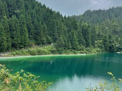 -武陵山森林公园