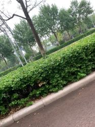-HEYAN长风荷妍专业脱毛美肤
