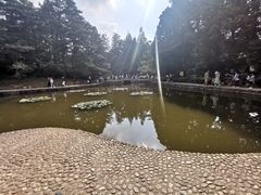 -庐山风景区花径公园