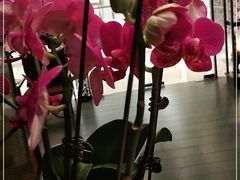 -LANN I 蘭 泰式古法按摩(徐家汇城开YOYO店)