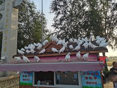 -天津妈祖文化园